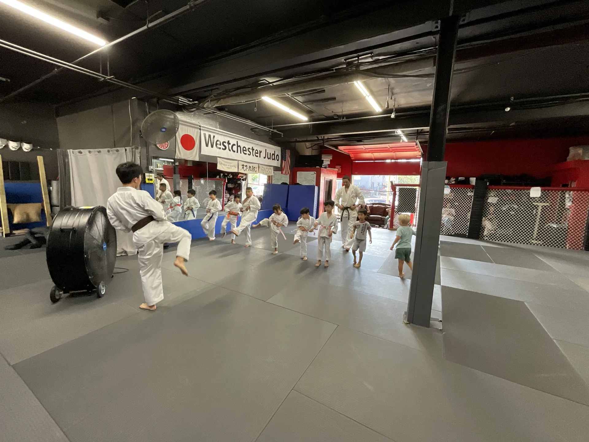 Mamaroneck Fitness Club Review: 24/7 Gym + Martial Arts Under One Roof